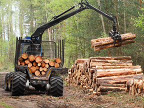 Forestry